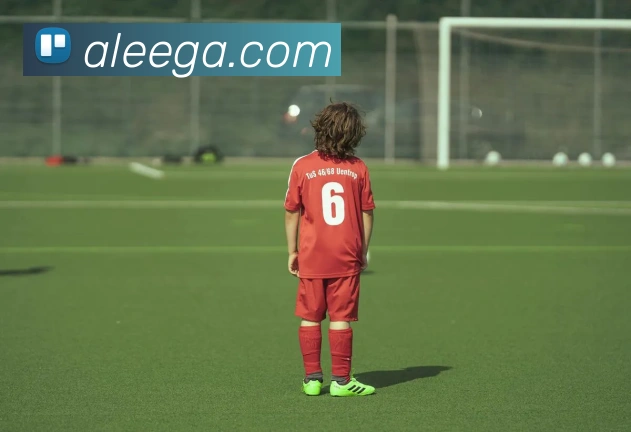 世界杯官网登录app品牌故事