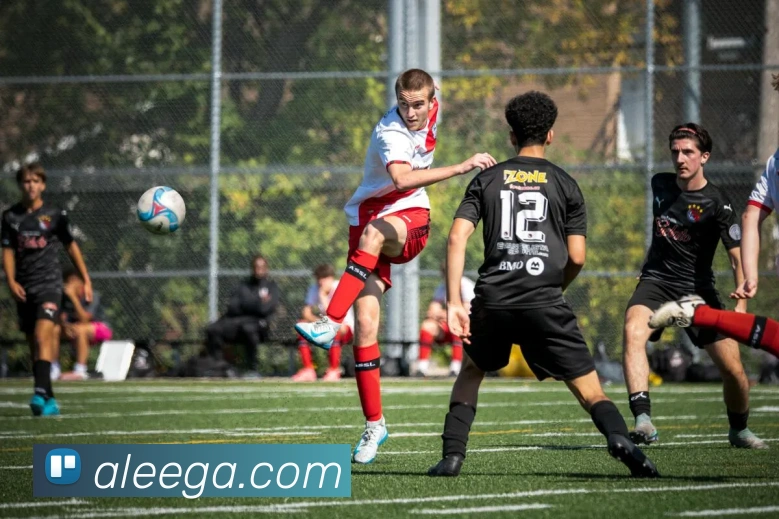 世界杯官网登录app服务体系